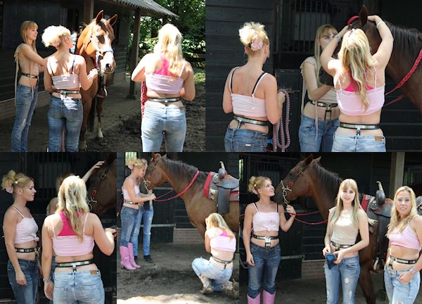 Saddle Up!
