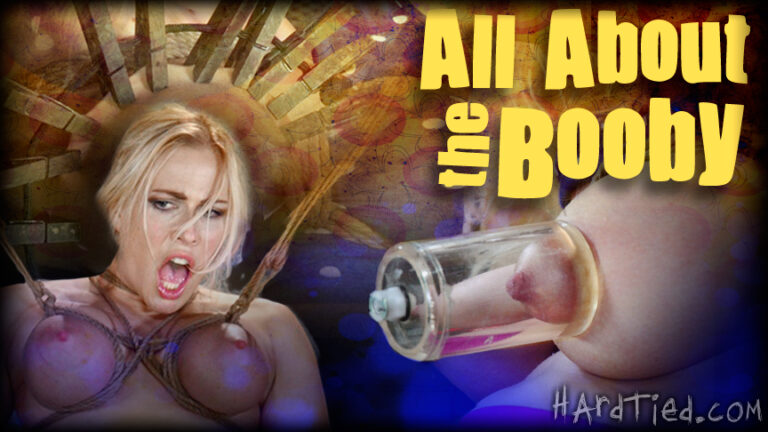 All About the Booby