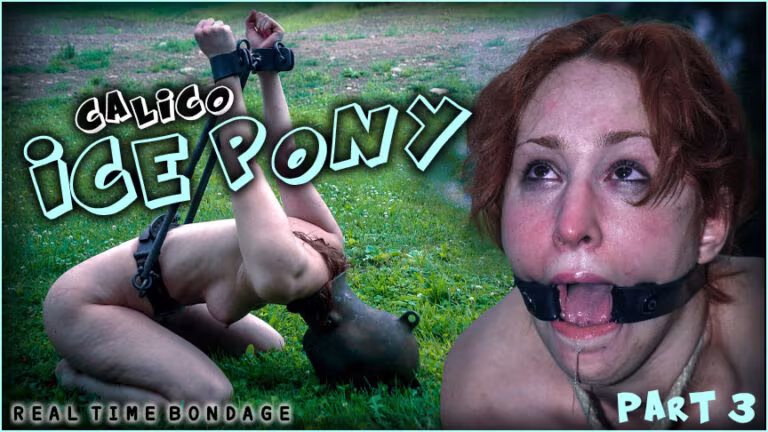 Ice Pony III