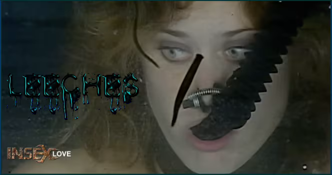 Leeches