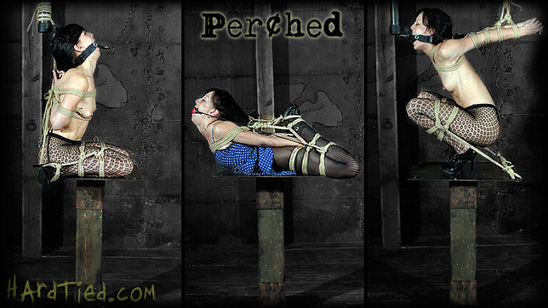 Perched