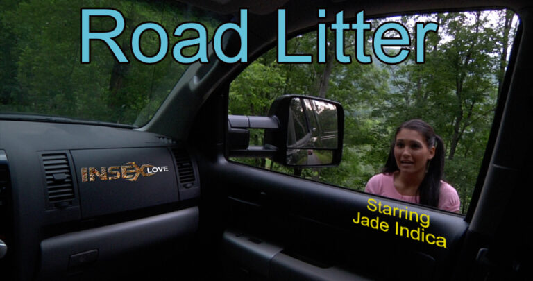 Road Litter