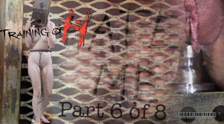 Training of H Part 6