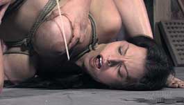 Untrained Slut