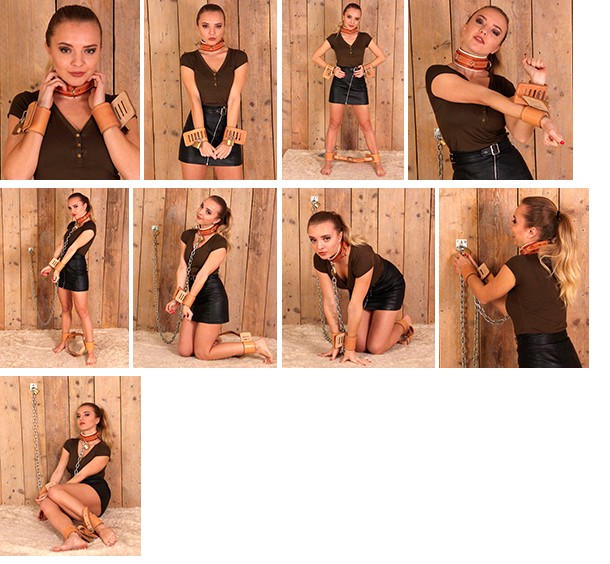 Alena – Humane Restraints and Sinvention collar