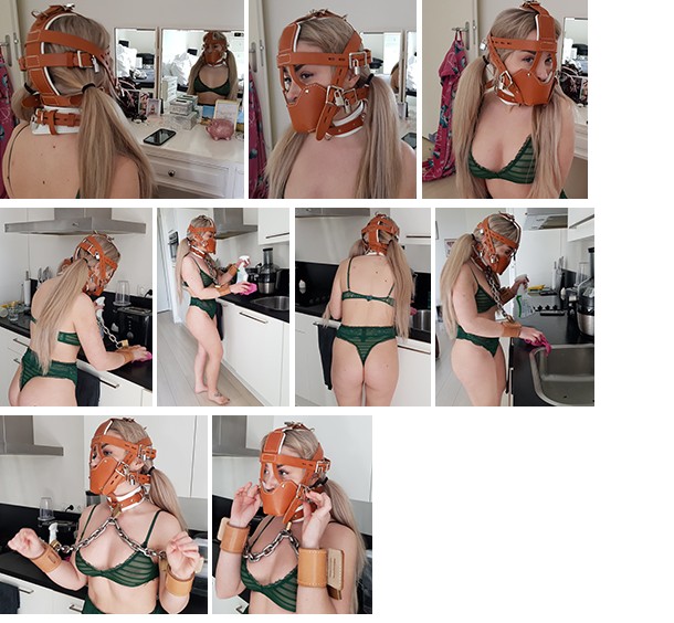 Aubrey – muzzled at home