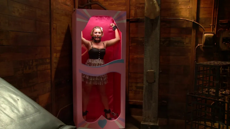 The Dollhouse