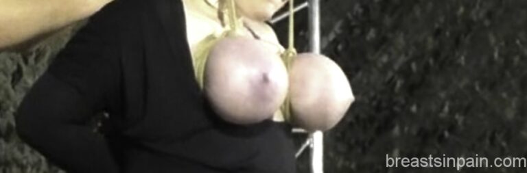 More Public Breast Torture for Titslave Cat