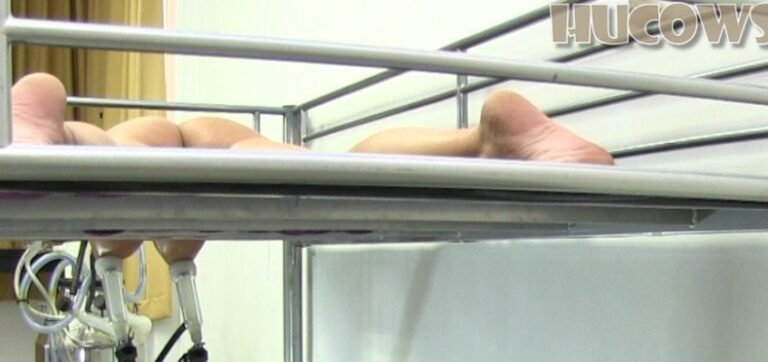 Bori on the milking bed