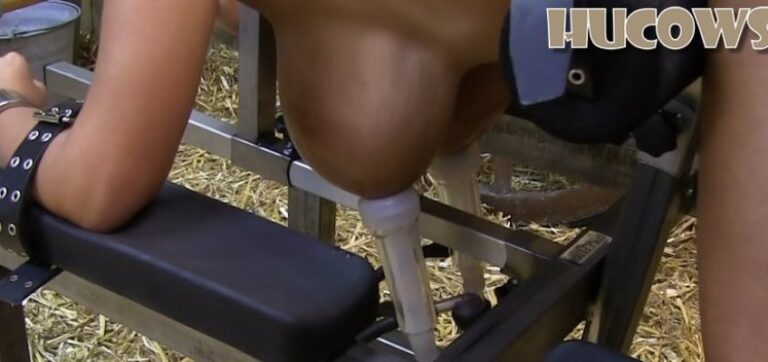 Katie – full udders