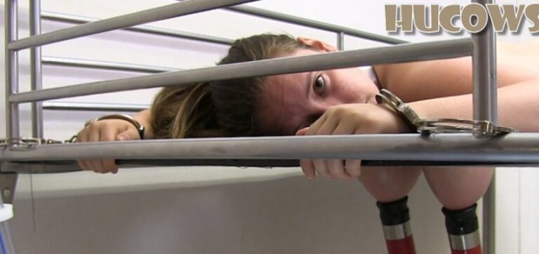 Vina – milking bed & cow milker