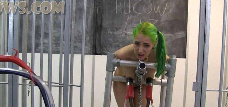 Liz – caged HuCow