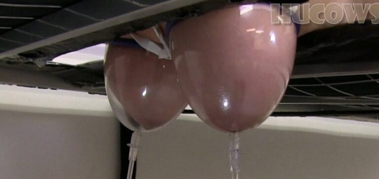 Vina – udder expansion