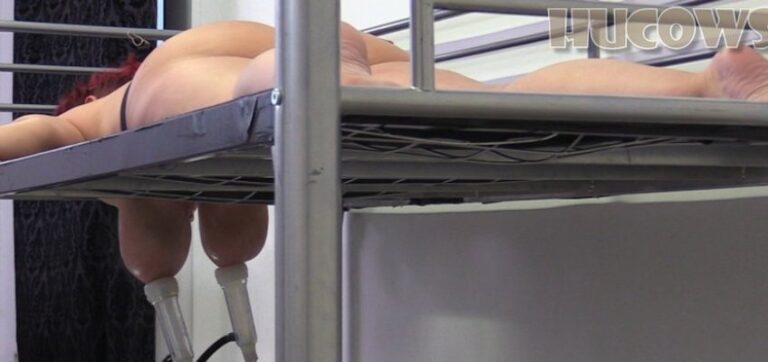 Manuela on the milking bed