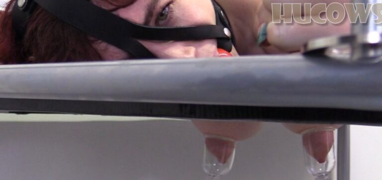Alexis Luna – milking bed