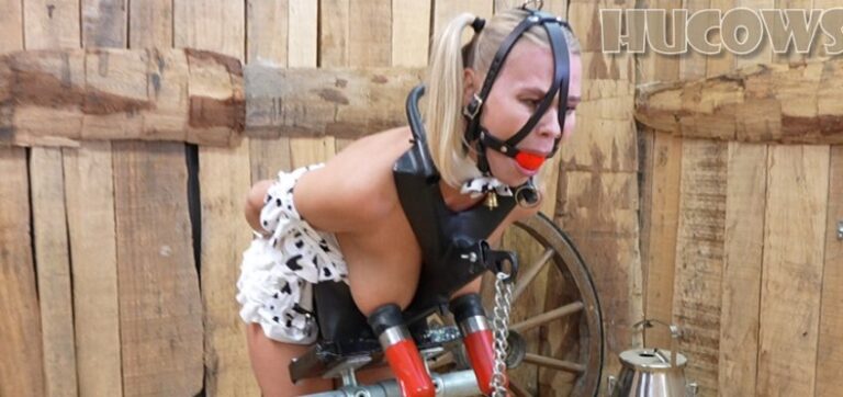 Darina – milking stand