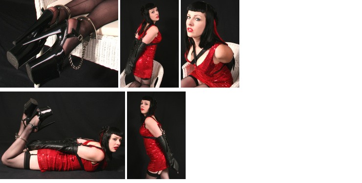 Leather armbinder