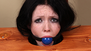 Raven vs. Her Stock Ball
