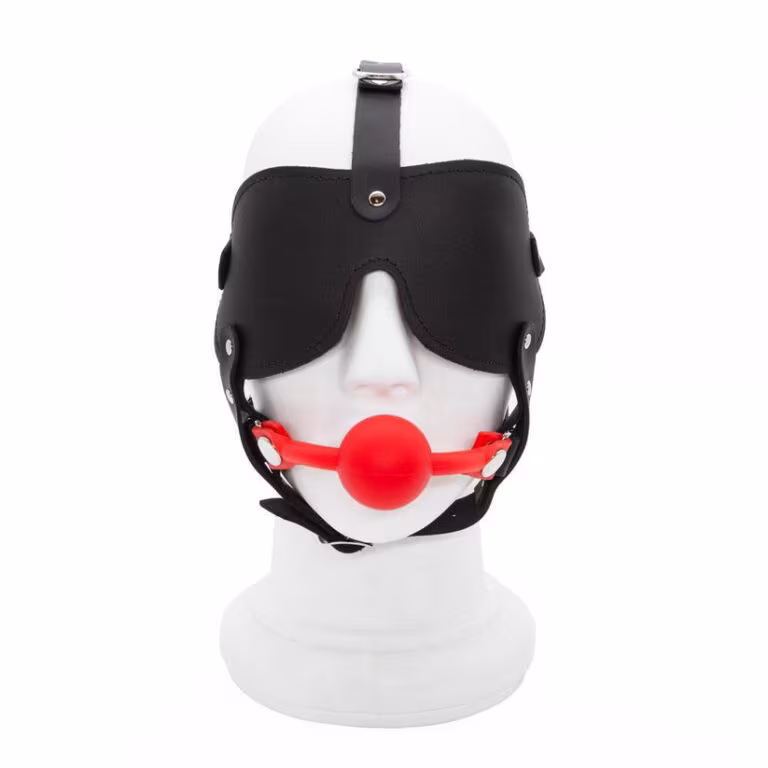 Leather Head Harness with Ball Gag