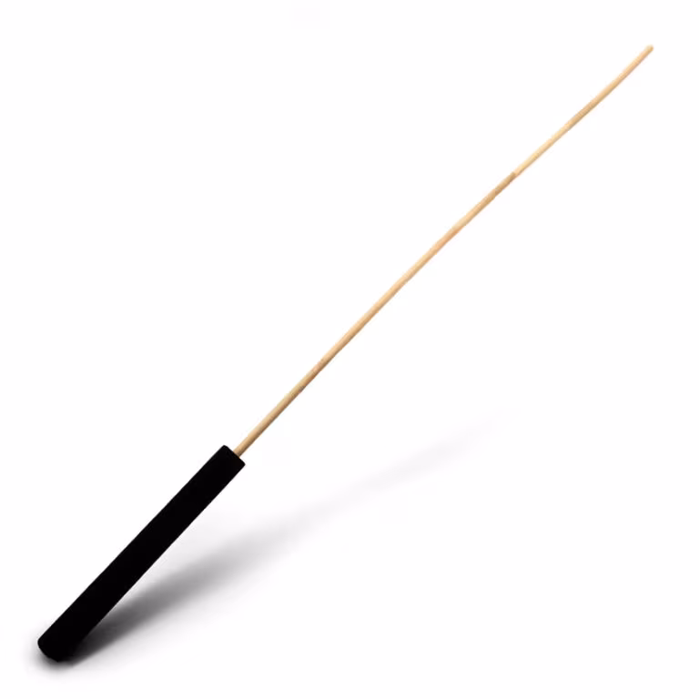 Rattan Cane with Velvet Handle