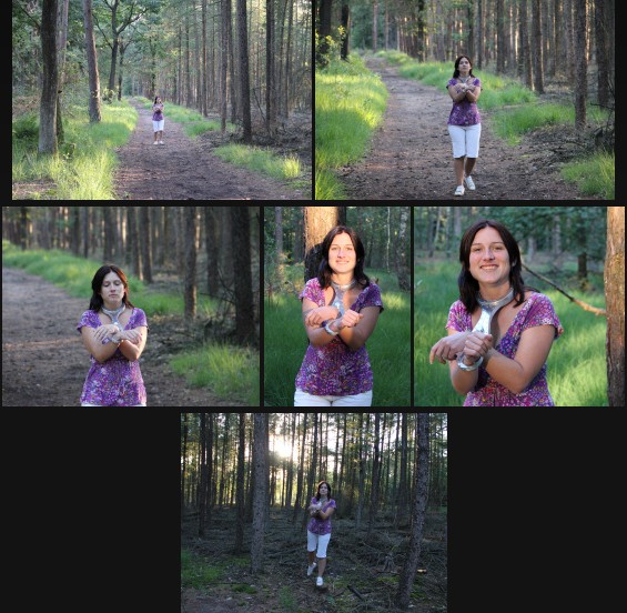 A fiddled walk in the pine forest