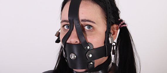 Locking harness gag