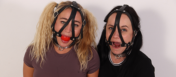 Harness ring gag or harness ballgag?