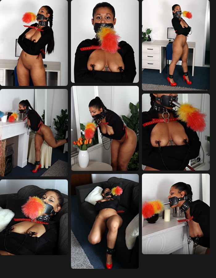 Calisa Bliss – the new maid