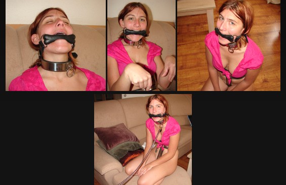 Dog bone gag