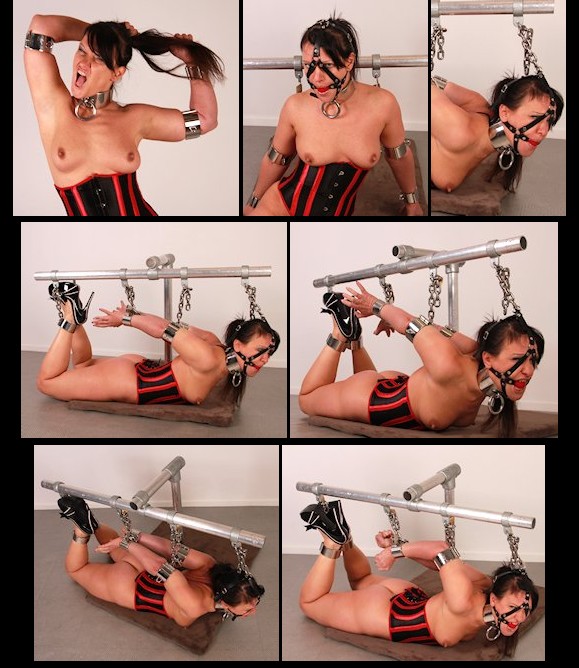 Extreme hogtie frame
