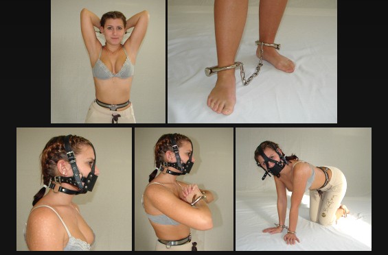 Harness muzzle gag and darby cuffs