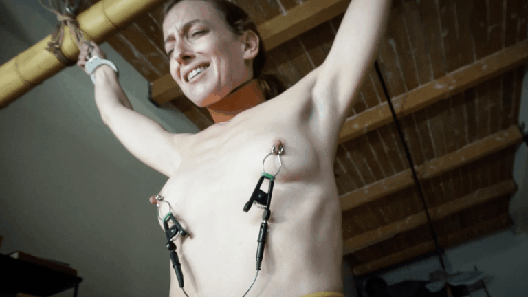 Stuffed, Clamped and Electrified