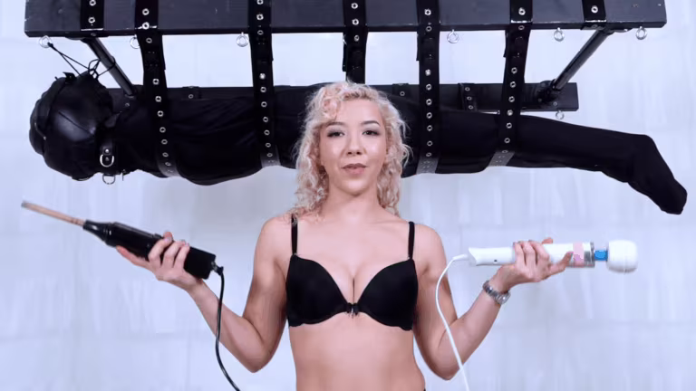 Vibrator VS Zapper