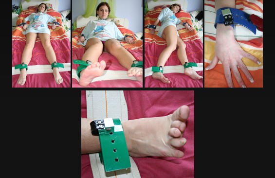 The bed restraints