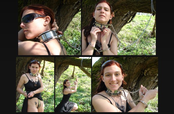 Triple collared in the forest