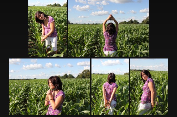 Walking through the corn field