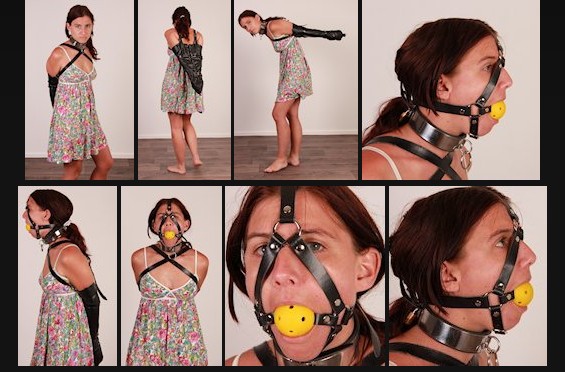 Wiffle harness ballgag and armbinder