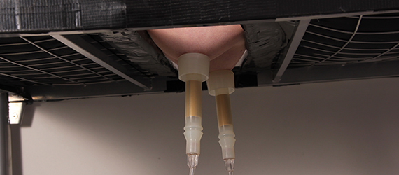 I tried a milking machine!