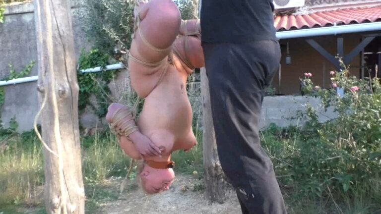 The Extreme 72h Nonstop Challenge for Zoey Ziptie – Chapter 32 – Hanging withBob