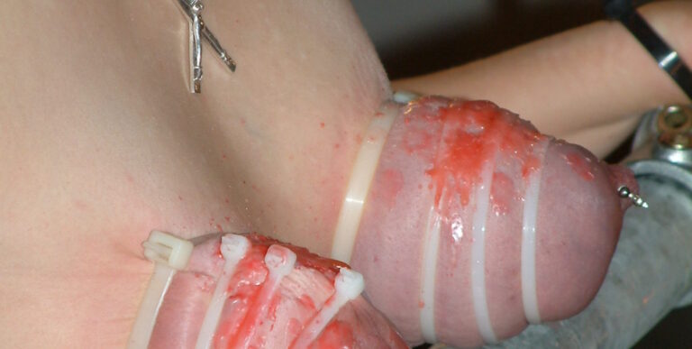 Archives -The perfect Titslave – Eve – Part 1