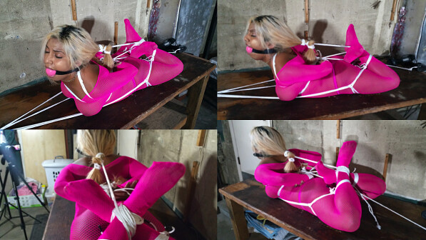 Stripper Hogtied