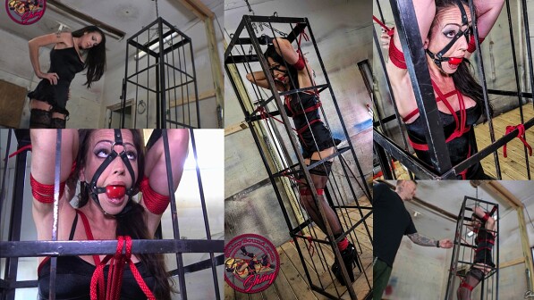 Caged and Swinging