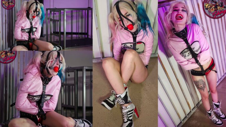 Harley Quinn Arkham Asylum Tapes 1