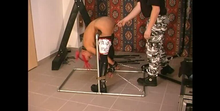toaxxx classics Video 20 – Whip me, please
