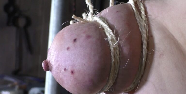 24 hours Challenge for Tit Slave Liz – Challenge 12