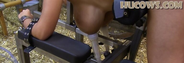 Katie – full udders