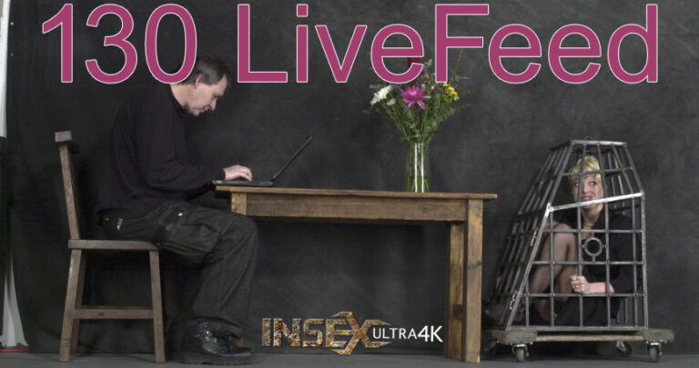 130 Livefeed