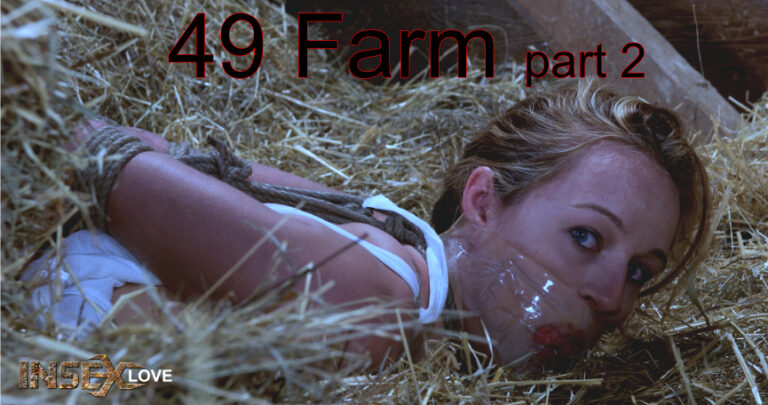 49 Farm 2