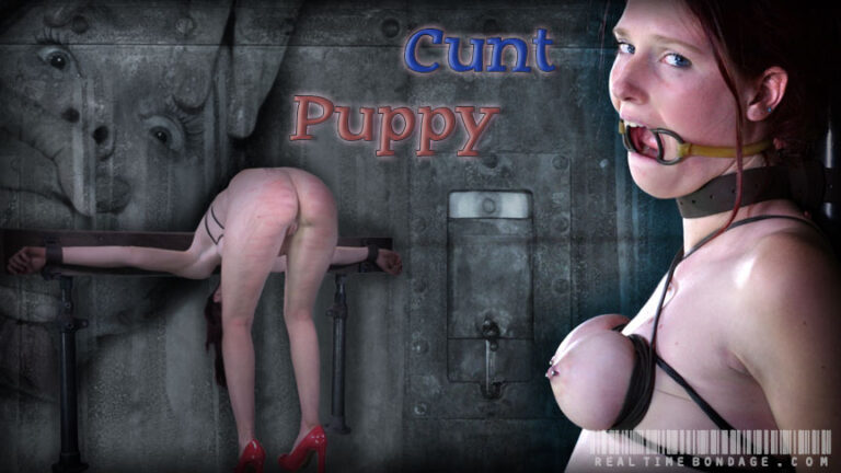 Cunt Puppy Part 3