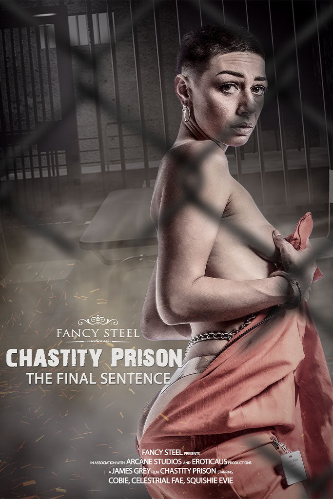 ChastityPrison5Thefinalsentence[1]